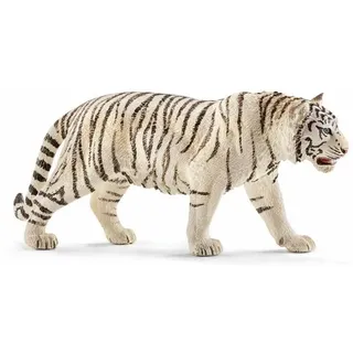 Tiger. white