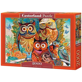 Castorland C-200535-2 Eulen Puzzle, Multi