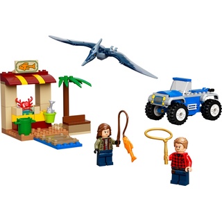 LEGO® Spielbausteine Jurassic World 76943 Pteranodon-Jagd, (Set, 94 St., Set) bunt
