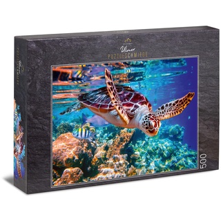 Ulmer Puzzleschmiede - Puzzle „Meeresschildkröte“ - Klassisches 500 Teile Puzzle aus dem Meer – Puzzlemotiv der schwimmenden Schildkröte als leuchtende Unterwasser-Aufnahme in der Südsee