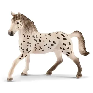 Knabstrupper Stallion