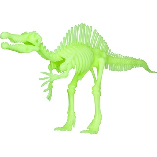 EDU-TOYS Spinosaurus nachtleuchtender Schnellbausatz