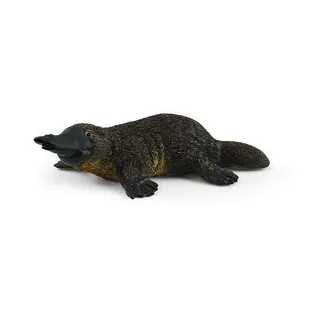 Spielzeugfigur  Schnabeltier SCHLEICH 14840