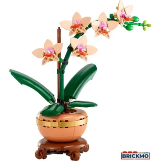 LEGO Botanicals 10343 Mini-Orchidee 10343