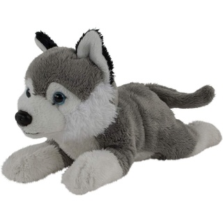 Teddys Rothenburg Kuscheltier Hund Husky liegend grau/weiß 20 cm Plüschhusky by Uni-Toys