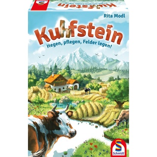 Schmidt Spiele 49440 Kuhfstein, Familienspiel