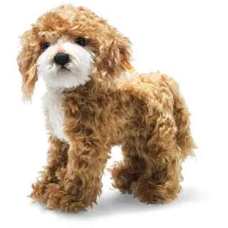 Steiff 31557 Ricky Cockapoo, rotbraun, 27 cm