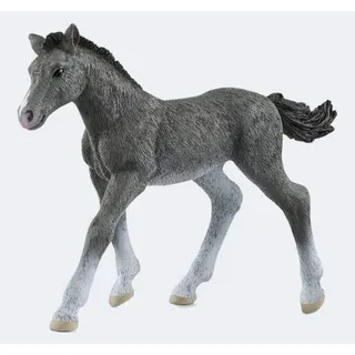 Schleich Spielfigur Horse Trakehner Fohlen