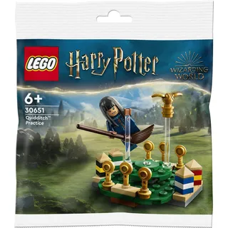 LEGO Quidditch Practice (30651, LEGO Harry Potter)
