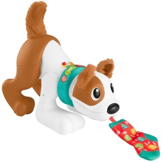 Fisher Price - Bello Spielzeughund, Krabbelspielzeug, Babyspielzeug 6 M.