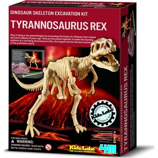 4M Dinosaurier Ausgrabung Tyrannosaurus Rex