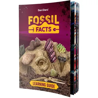 Großes Fossilien Ausgrabungsset - 15 echte Fossilien Ausgraben (Dinosaurierknochen, Haie & mehr) | Große Wissenschaft, Archäologie, Paläontologie Geschenk für Jungen & Mädchen |Ausgrabungsspielzeug