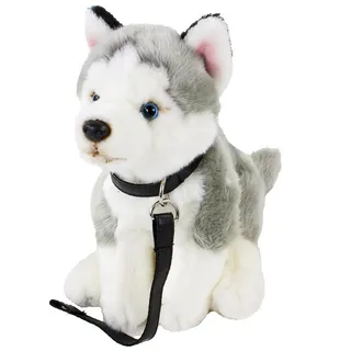 Teddys Rothenburg Kuscheltier Hund Husky mit Leine 25 cm Plüschhusky