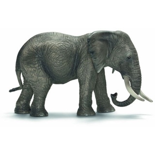 Schleich Afrikanische Elefantenkuh Wild Life, Grau, Beide Geschlechter, 17 cm, 8,5 cm, 9,5 cm, 1 Stück