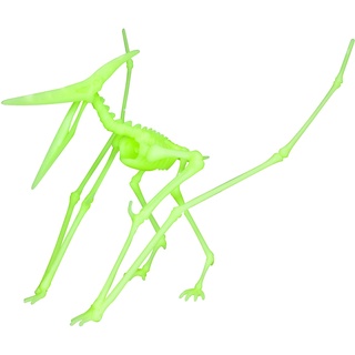EDU-TOYS Flugsaurier Pterodactylus nachtleuchtender Schnellbausatz