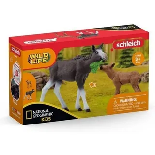 Schleich® Spielfigur Schleich 42603 - Wild Life - Elchkuh mit Kalb bunt