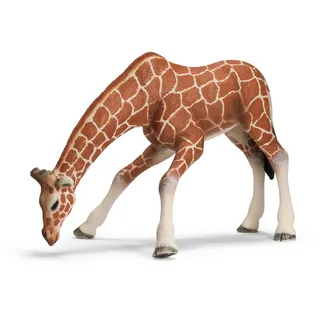 Schleich 14390 - Wild Life, Giraffenkuh, saufend