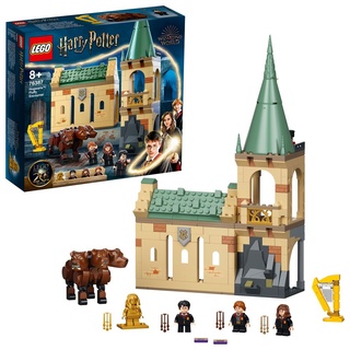 LEGO 76387 Harry Potter Hogwarts: Begegnung mit Fluffy Set, Spielzeug ab 8 Jahre mit Hermine als goldene Minifigur, Fanartikel