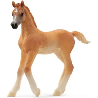 SCHLEICH 13984 HORSE CLUB Araber Fohlen