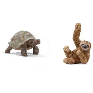 SCHLEICH 14824 Riesenschildkröte, für Kinder ab 3+ Jahren, WILD Life - Spielfigur & 14793 Faultier, für Kinder ab 3+ Jahren, WILD Life - Spielfigur