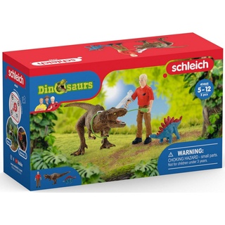 Schleich® Spielfigur DINOSAURS, Tyrannosaurus Rex Angriff (41465), (Set) bunt