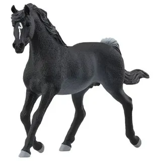 Schleich Schleiich Horse Club Arabisch Engst 13981