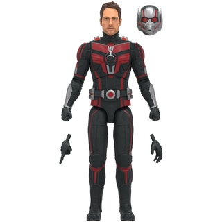 Hasbro Marvel Legends Series Ant-Man, Ant-Man and The Wasp: Quantumania Marvel Legends Action-Figur, 15 cm