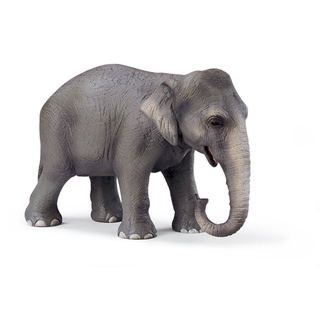 Schleich 14344 - Wild Life, Asiatische Elefantenkuh