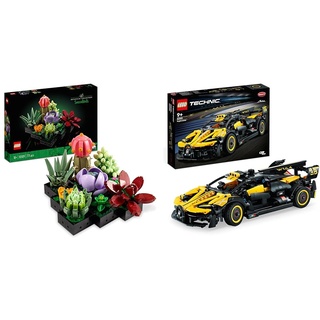 LEGO Icons Sukkulenten Künstliche Blumen Set für Erwachsene & 42151 Technic Bugatti-Bolide, Auto-Modellbausatz, Sportwagen-Spielzeug, ikonisches Auto-Set zum Sammeln, ab 9 Jahre