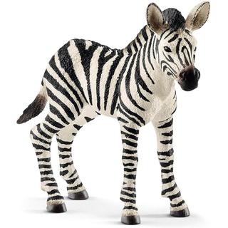 Schleich Wild Life - Junges Zebra, Figur für Kinder ab 3 Jahren