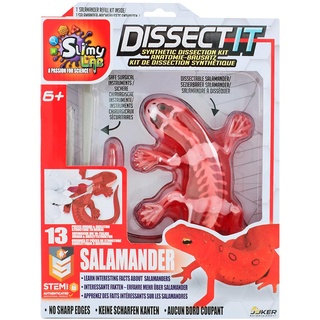 Original SLIMY Lab Dissect-IT - Experimentieren & Forschen Sezier-Set - Schleim Labor, prämiertes STEM/Mint Lernspielzeug, Slime-Set mit Spielknete und Sezierwerkzeug Variante:Salamander
