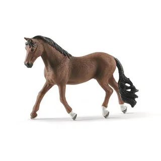 Trakehner gelding