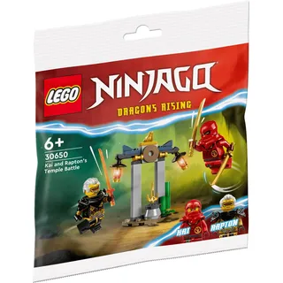 LEGO® NINJAGO® 30650 Kais und Raptons Duell im Tempel