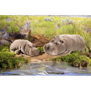Kösen Kuscheltier Nilpferd Flusspferd Hippo 35 cm liegend (Plüschtiere Nilpferde Stofftiere Hippos Plüschhippo Stoffnilpferd)
