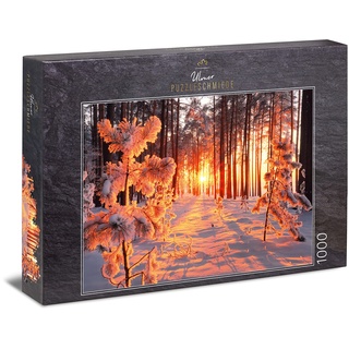 Ulmer Puzzleschmiede - Puzzle „Wintersonne“ - Klassisches 1000 Teile Jahreszeiten-Puzzle - Schnee-Landschaft in unserer Heimat - warme Sonnenstrahlen, Licht & Schatten im kalten Winter-Wald