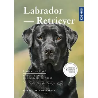 Labrador Retriever Auswahl, Haltung, Erziehung, Beschäftigung