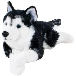 Teddys Rothenburg Kuscheltier Husky 38 cm Plüschtier Hund Stofftier Plüschhusky dunkel Kuschelhusky Stoffhusky schwarz Uni-Toys