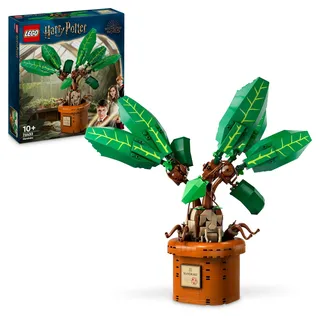 LEGO Harry Potter Zaubertrankpflanze: Alraune, Pflanzen-Spielzeug mit Topf, magisches Geschenk für Mädchen, Jungen und alle Fans, Spielset für fantasievolle Kinder, Wohn-Deko 76433