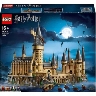 LEGO Harry Potter Hogwarts Castle (71043, LEGO Seltene Sets, LEGO Harry Potter)