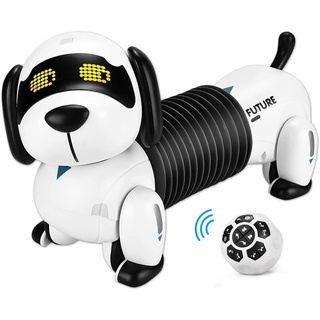 autolock RC-Roboter Intelligenter Roboter Hund,programmierbarer Roboter-Welpe, mit Singen,Tanzen,Sprechen für Kinder, interaktiver Spielzeug