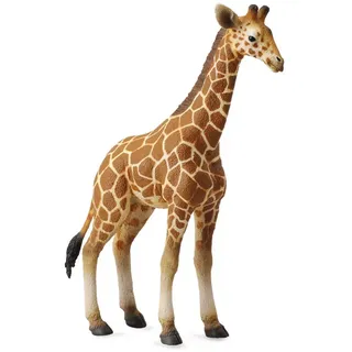 Collecta Wildlife retikulierte Giraffe, Kalbs-Spielzeugfigur, authentisch, handbemalt