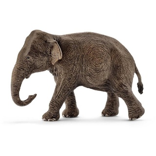Schleich® Spielfigur Schleich 14753 - Asiatische Elefantenkuh - Wild Life