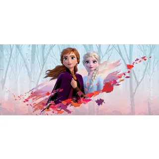 Disney Poster Die Eiskönigin Anna & Elsa Blau Lila und Orange 202 x 90 cm 600907