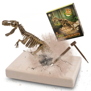 MUSCCCM Tyrannosaurus Ausgrabungsset für Kinder, Dino Spielzeug, 3D-Skelett Dinosaur Modell Dino Ausgrabungsset, Dino Party Kindergeburtstag Spiele, Dino Geschenk Mitgebsel Kindergeburtstag Junge