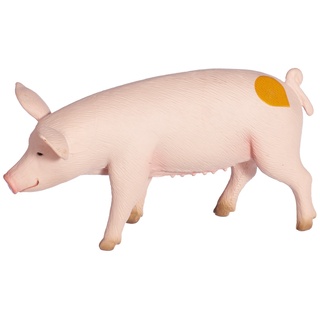 Ravensburger - 00350 – Elektronisches Lernspiel – tiptoi – Tierfigur – Schwein