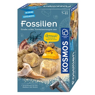 KOSMOS Ausgrabungsset Fossilien mehrfarbig
