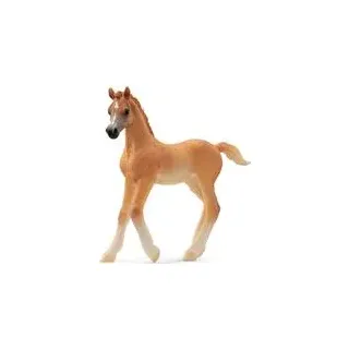 schleich HORSE CLUB Araber Fohlen. Empfohlenes Alter in Jahren (mind.): 5 Jahr(e), Produktfarbe: Braun (13984)