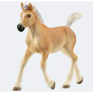 Schleich Spielfigur Horse Haflinger Fohlen