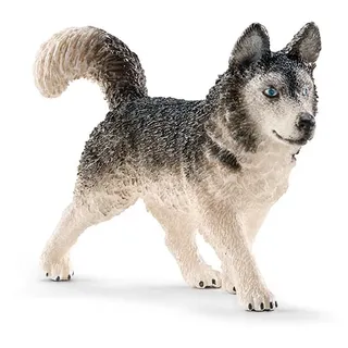 Schleich Spielfigur "Husky" - ab 3 Jahren