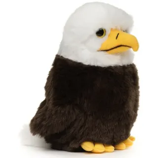 Uni-Toys Kuscheltier Weißkopfseeadler Jungvogel - 18 cm - Plüsch-Vogel, Adler - Plüschtier, zu 100 % recyceltes Füllmaterial